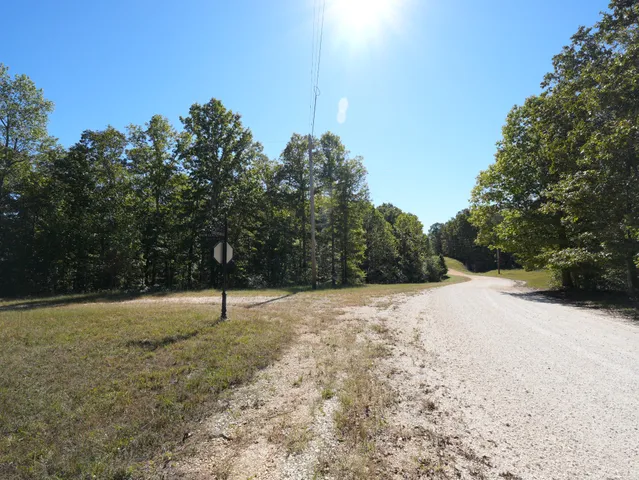 a view of empty yard with large trees