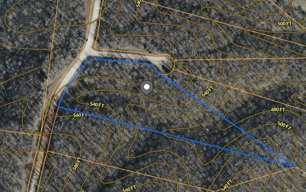 $29,997 | 0 Snowgoose Court, Hurricane Mills, TN 37078