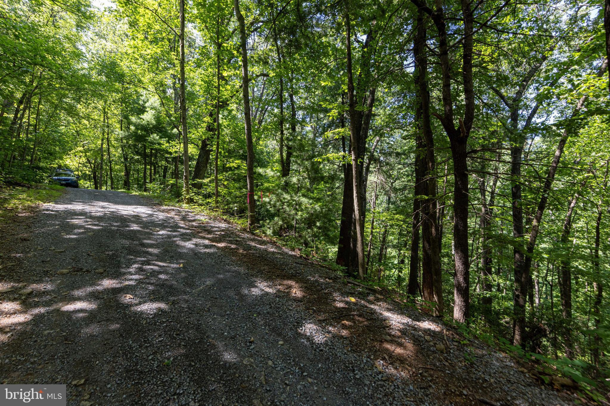 0 Helms Road Stanley, VA 22851 - Photo 34 of 50
