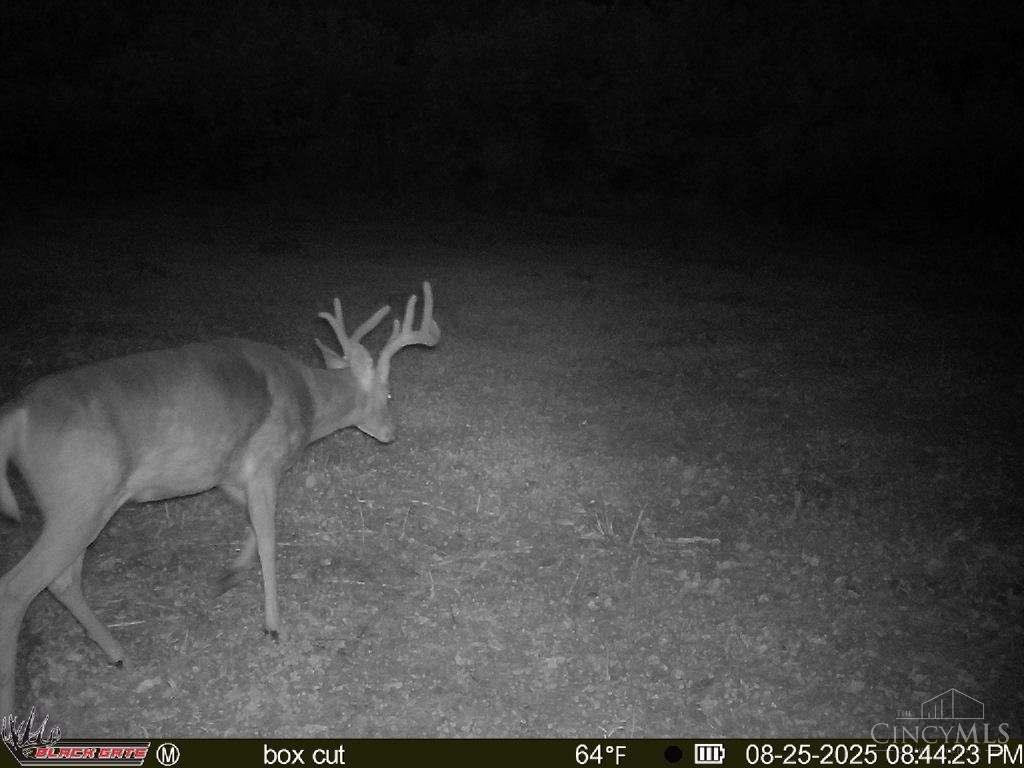 A Enley Road McDermott, OH 45652 - Photo 34 of 97