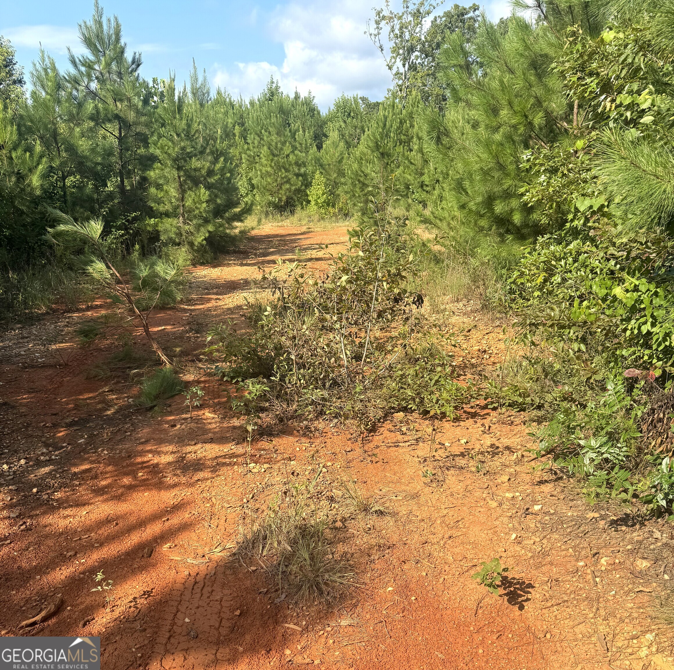 0 Co Rd 49 Muscadine, AL 36269 - Photo 3 of 6
