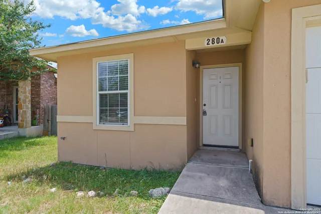 a view of backyard with a garden and plants