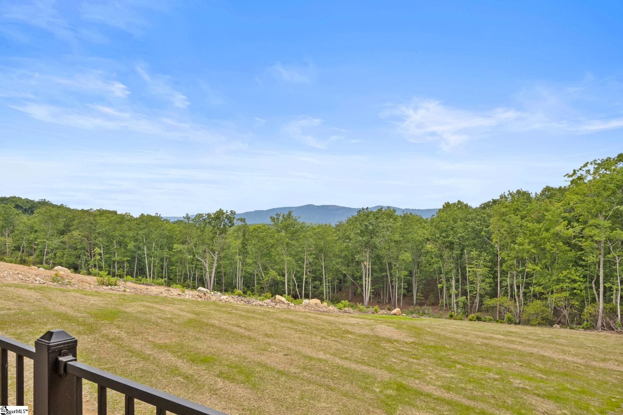 1944 Pleasant Hill Road Taylors, SC 29687 - Photo 45 of 49