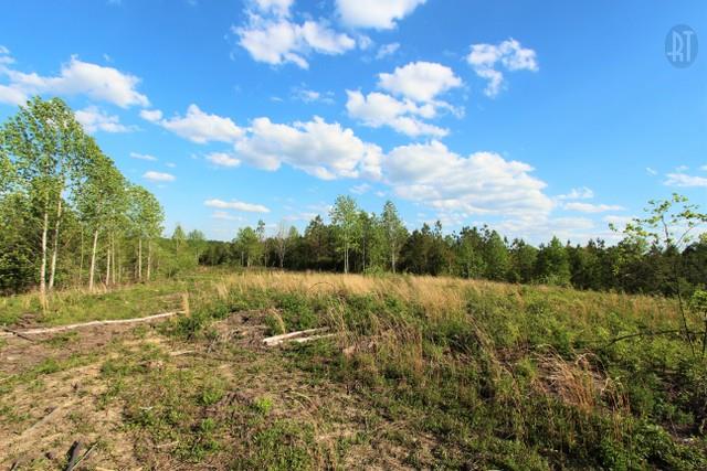0 Red Oak Road Lawrenceburg, TN 38464 - Photo 13 of 13