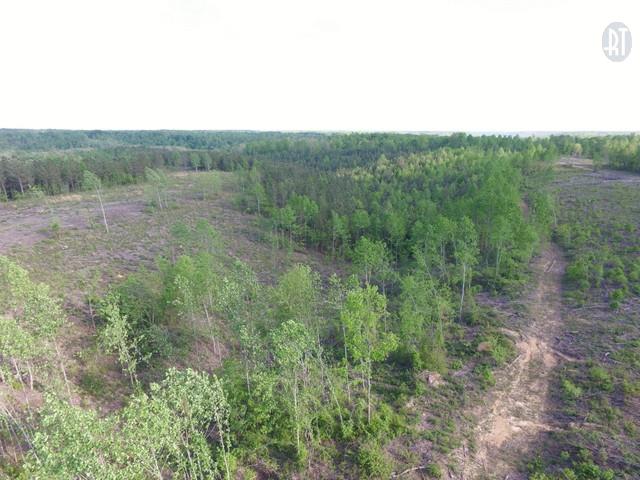 0 Red Oak Road Lawrenceburg, TN 38464 - Photo 2 of 13 a view of a lush green field
