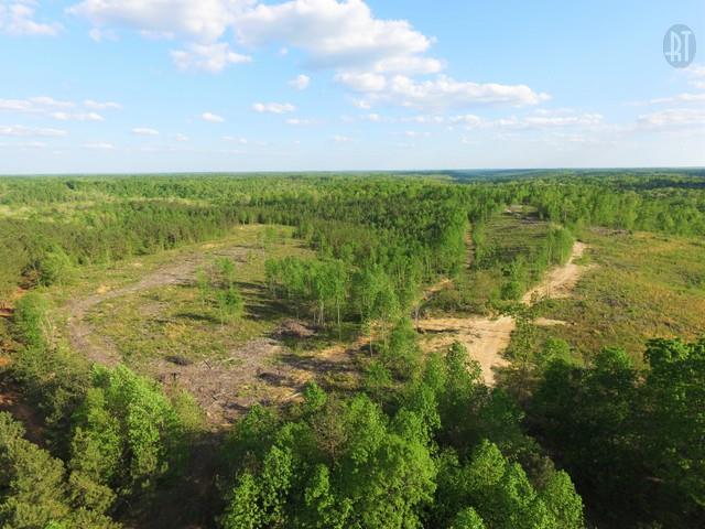 0 Red Oak Road Lawrenceburg, TN 38464 - Photo 3 of 13 a view of lake with green space