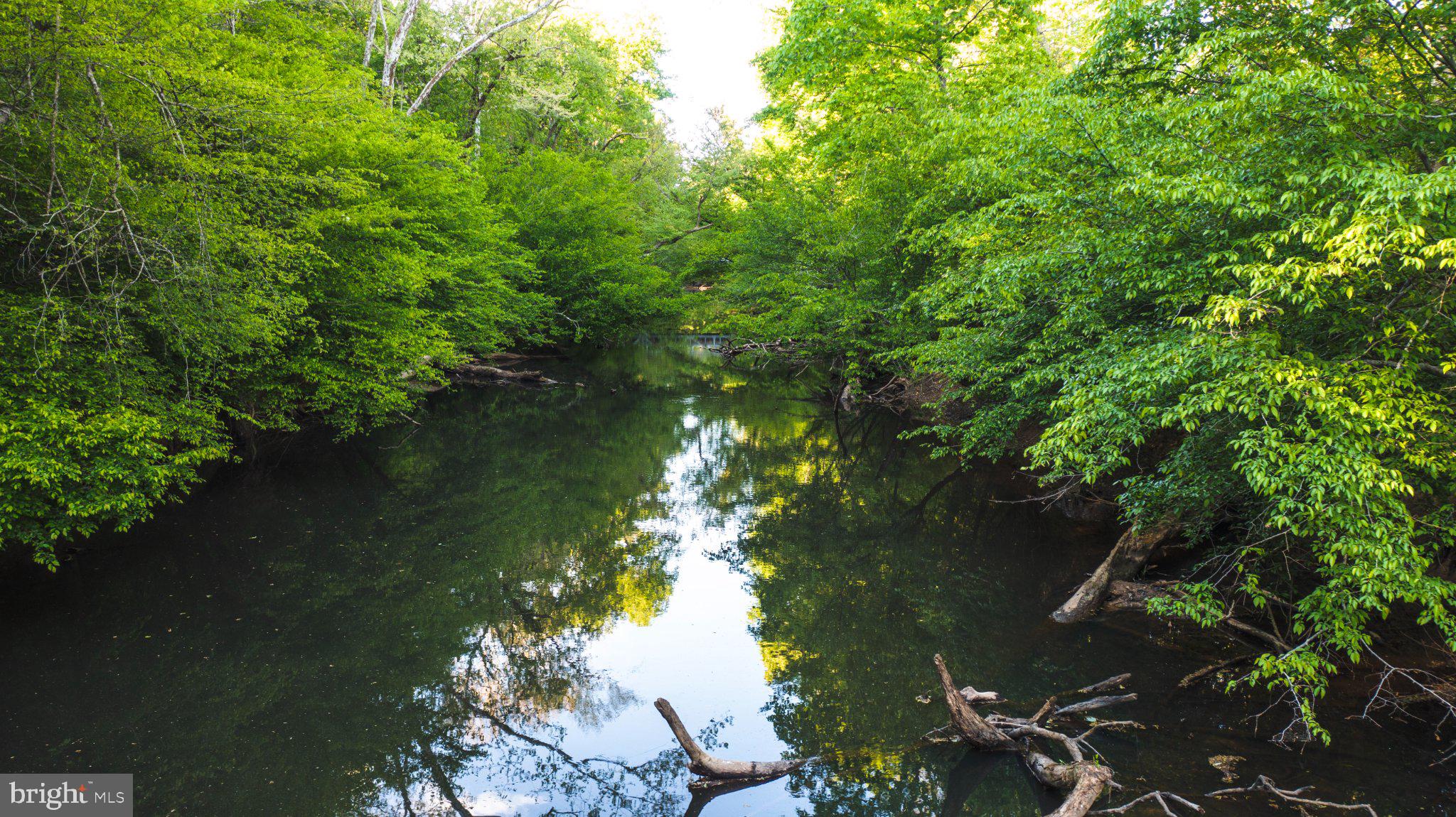 0 Harts Mill Road Mineral, VA 23117 - Photo 15 of 69 Serene river embraced by lush greens.