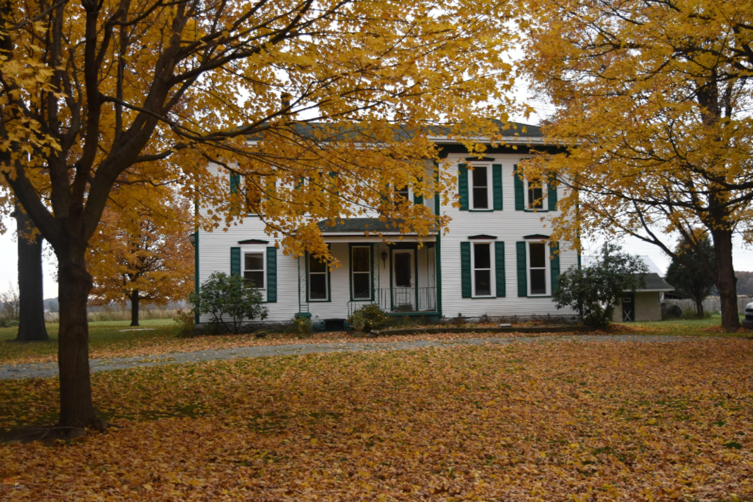 26891 Spring Creek Road Mendon, MI 49072 - Photo 1 of 35 DSC_0185
