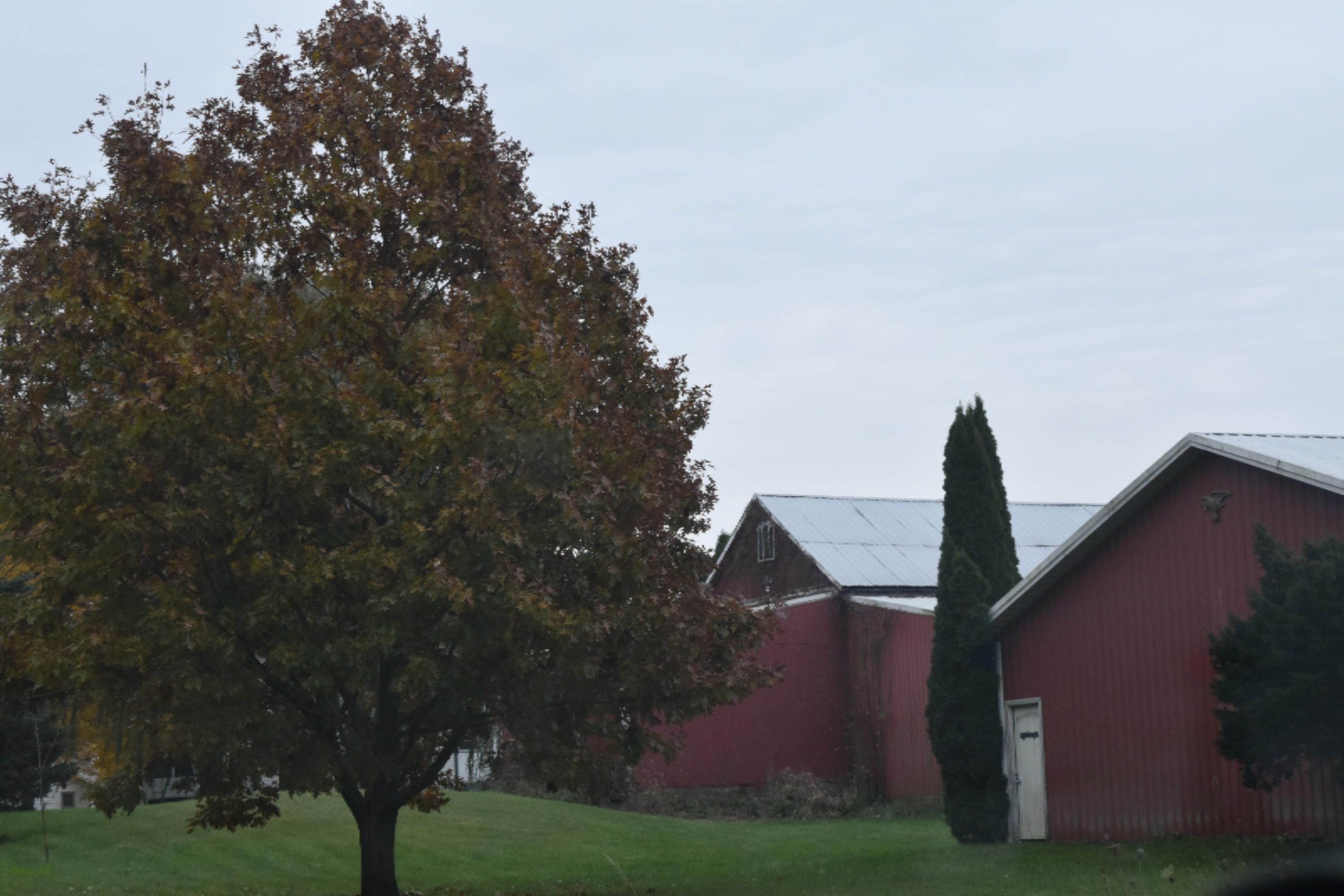 26891 Spring Creek Road Mendon, MI 49072 - Photo 10 of 35 DSC_0191