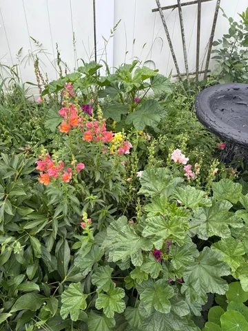 $300,000 | 5227 5th Street Northeast, Columbia Heights, MN 55421