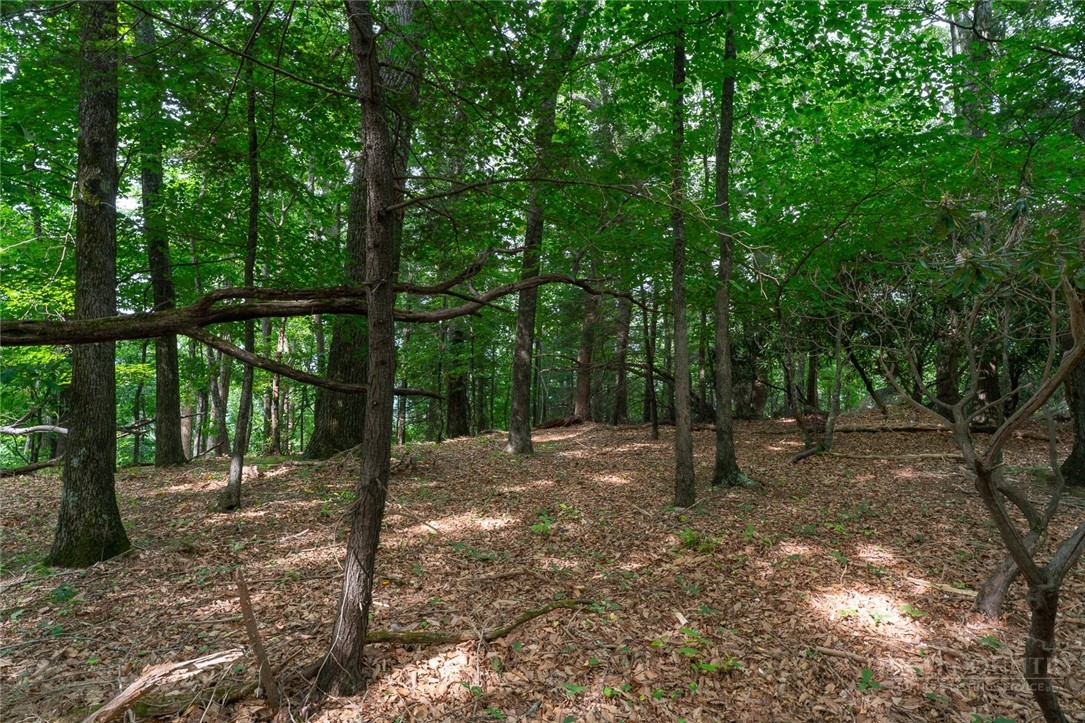 Lot 4 Old Orchard Road Lenoir, NC 28645 - Photo 12 of 23