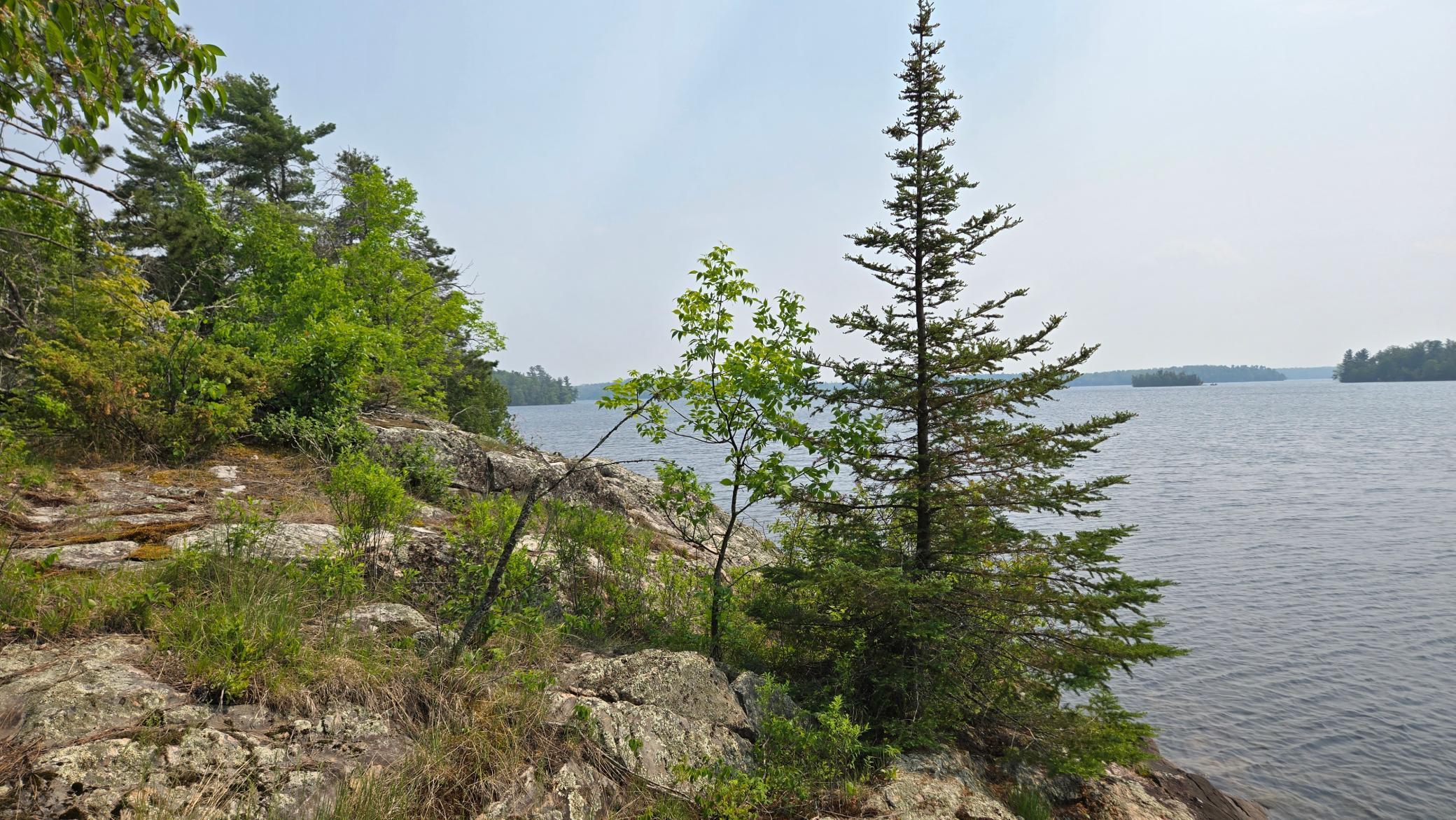 11.85 Bessette Road Orr, MN 55771 - Photo 16 of 50