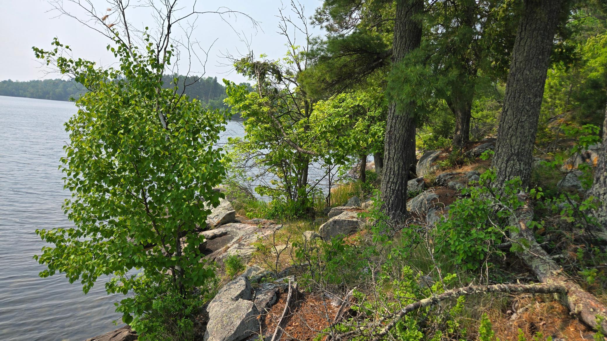 11.85 Bessette Road Orr, MN 55771 - Photo 20 of 50