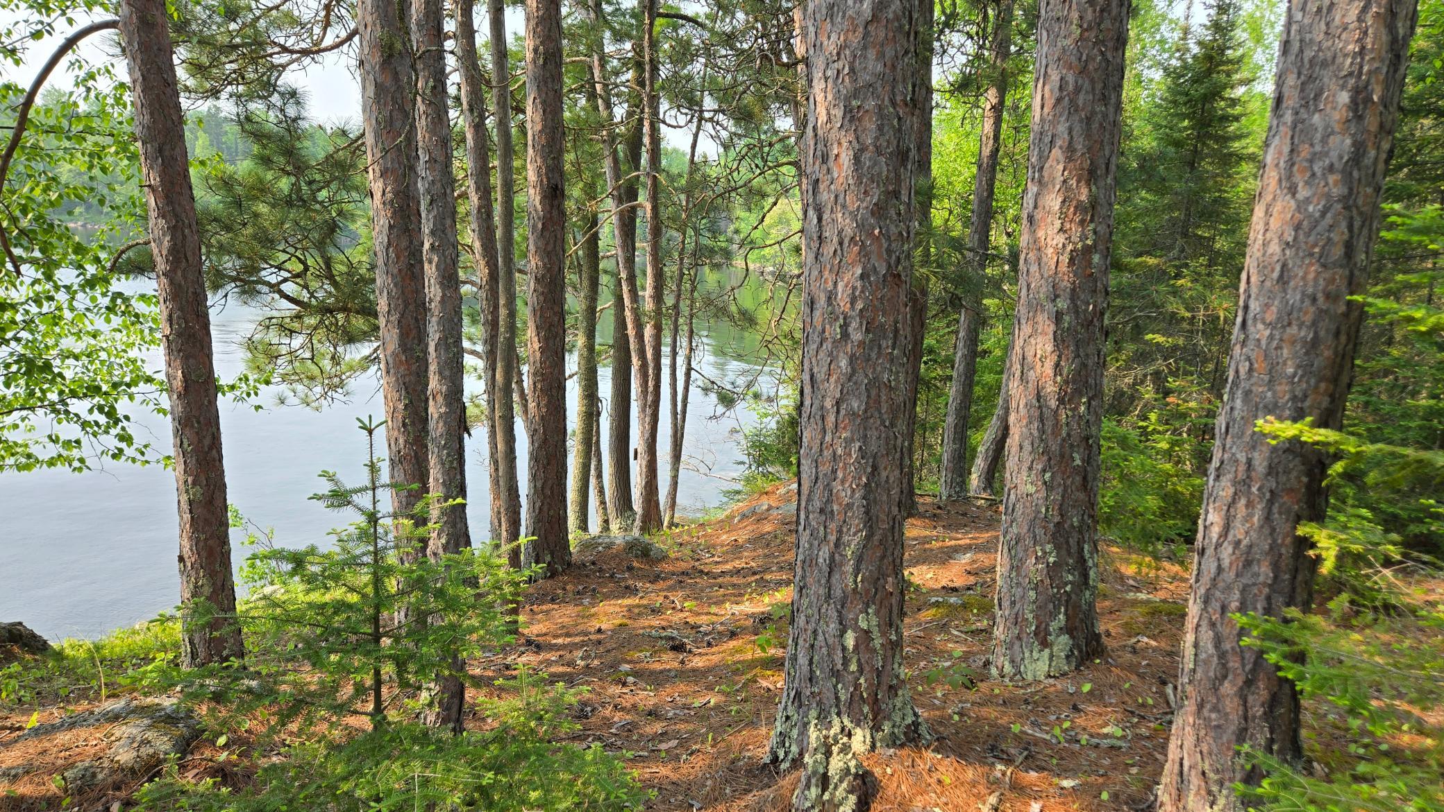 11.85 Bessette Road Orr, MN 55771 - Photo 22 of 50