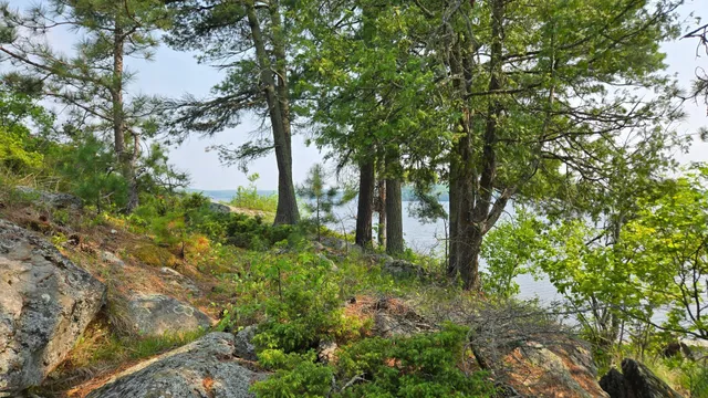 $499,000 | 11.85 Bessette Road, Orr, MN 55771