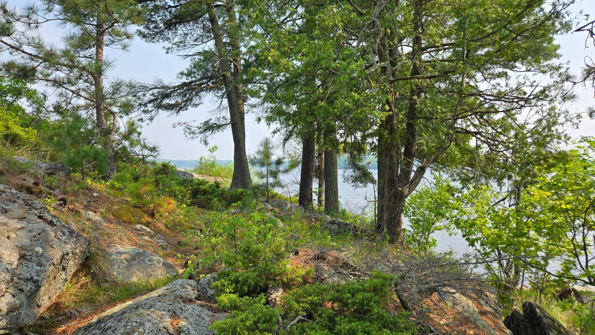 11.85 Bessette Road Orr, MN 55771 - Photo 24 of 50