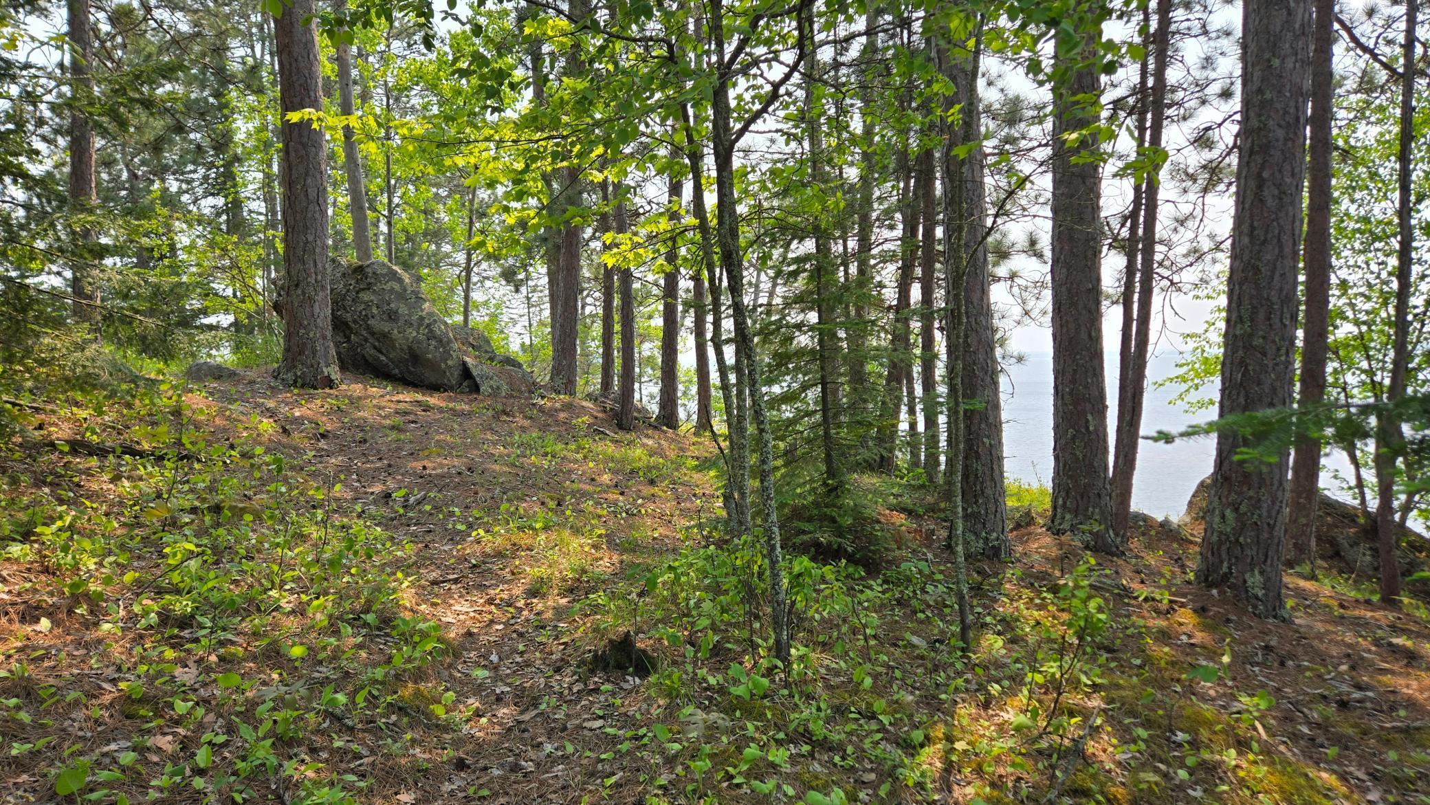 11.85 Bessette Road Orr, MN 55771 - Photo 25 of 50