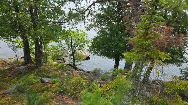 $499,000 | 11.85 Bessette Road, Orr, MN 55771