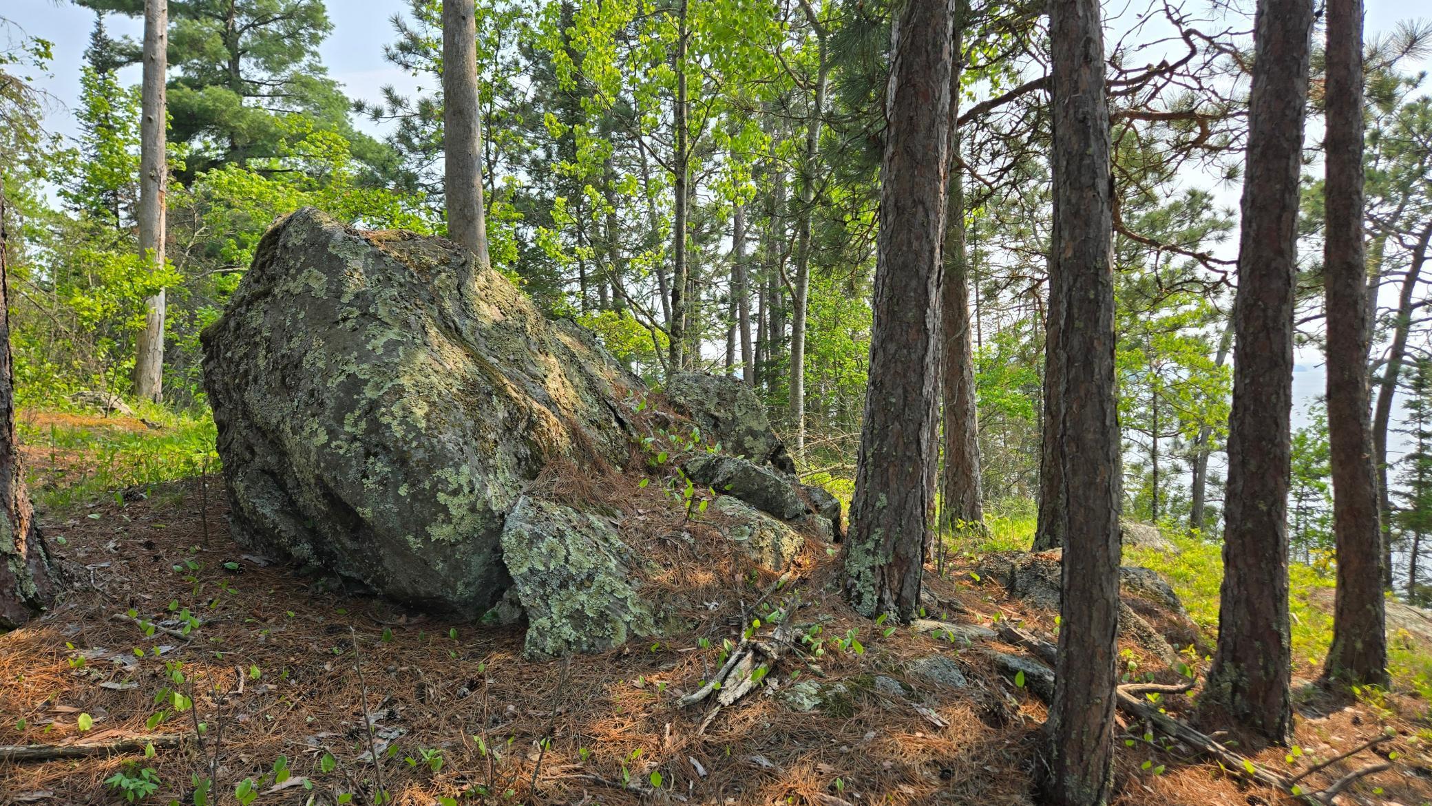 11.85 Bessette Road Orr, MN 55771 - Photo 27 of 50