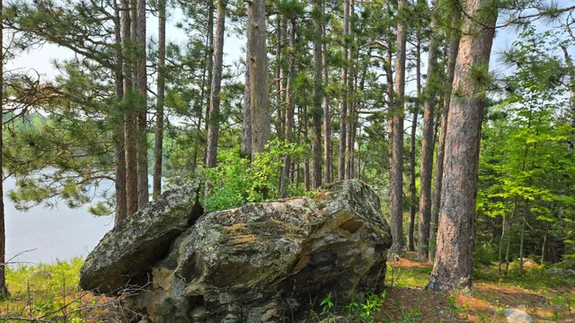 $499,000 | 11.85 Bessette Road, Orr, MN 55771