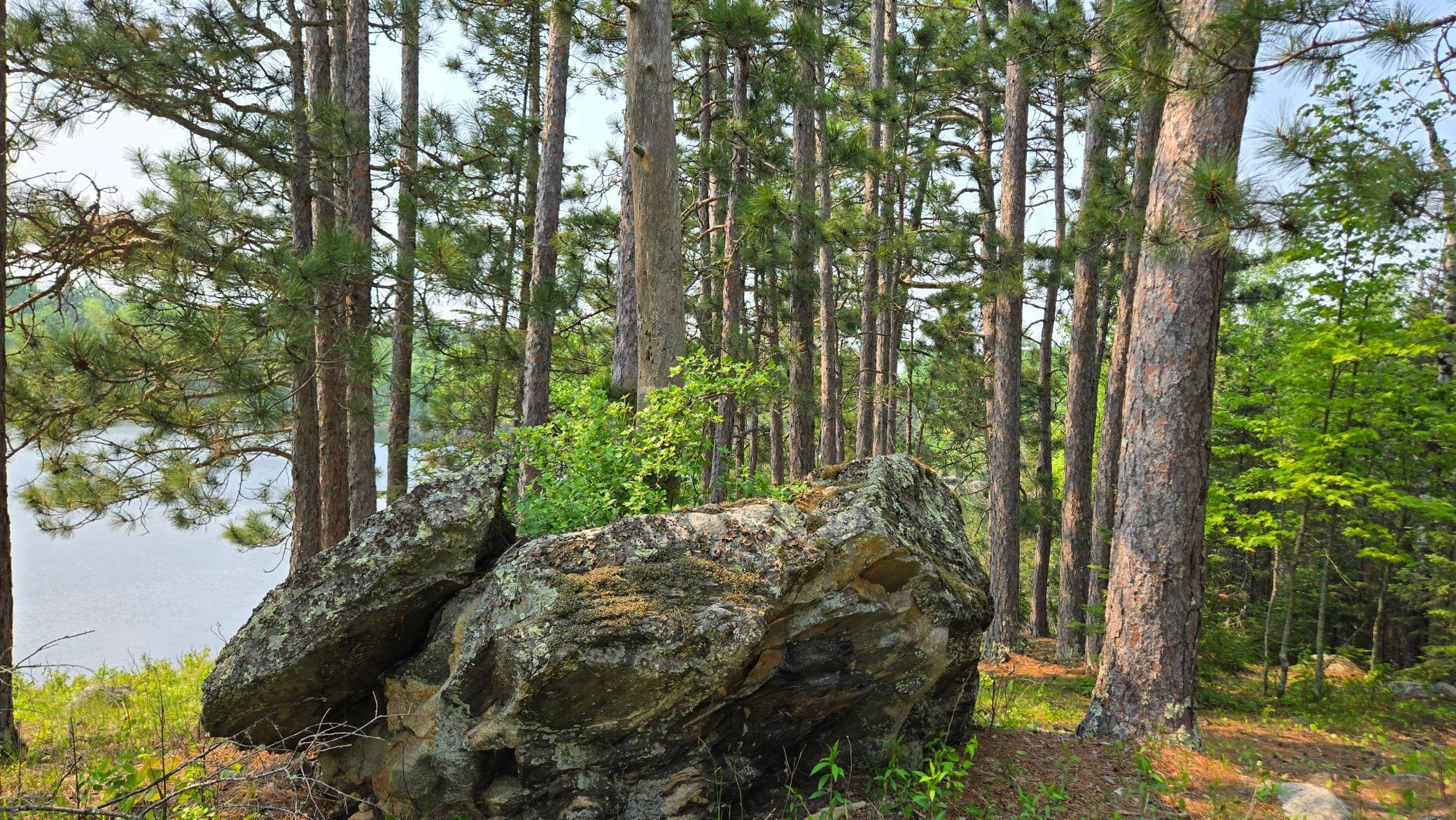 11.85 Bessette Road Orr, MN 55771 - Photo 30 of 50