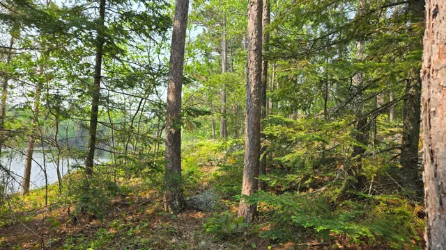 $499,000 | 11.85 Bessette Road, Orr, MN 55771