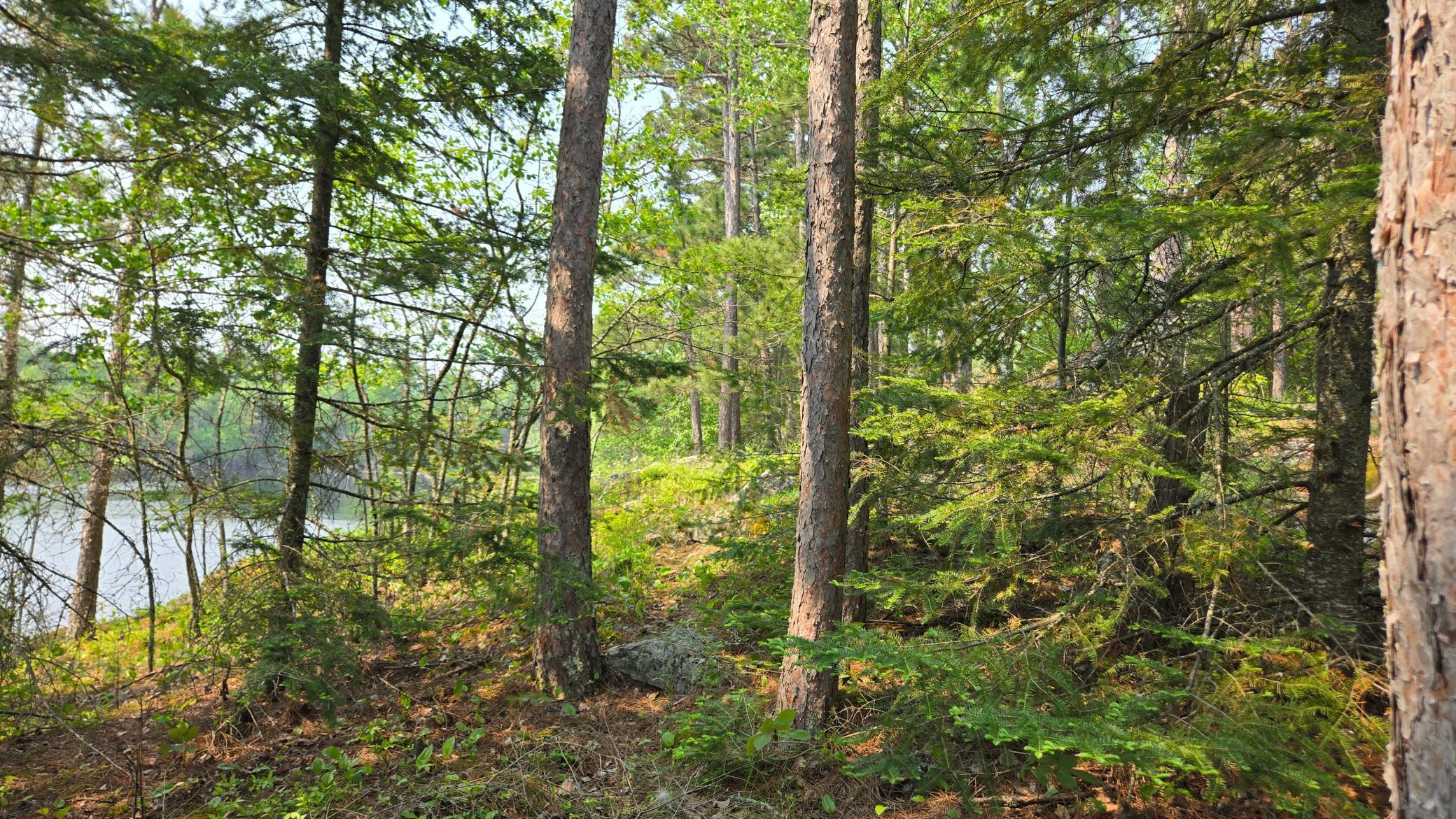 11.85 Bessette Road Orr, MN 55771 - Photo 32 of 50