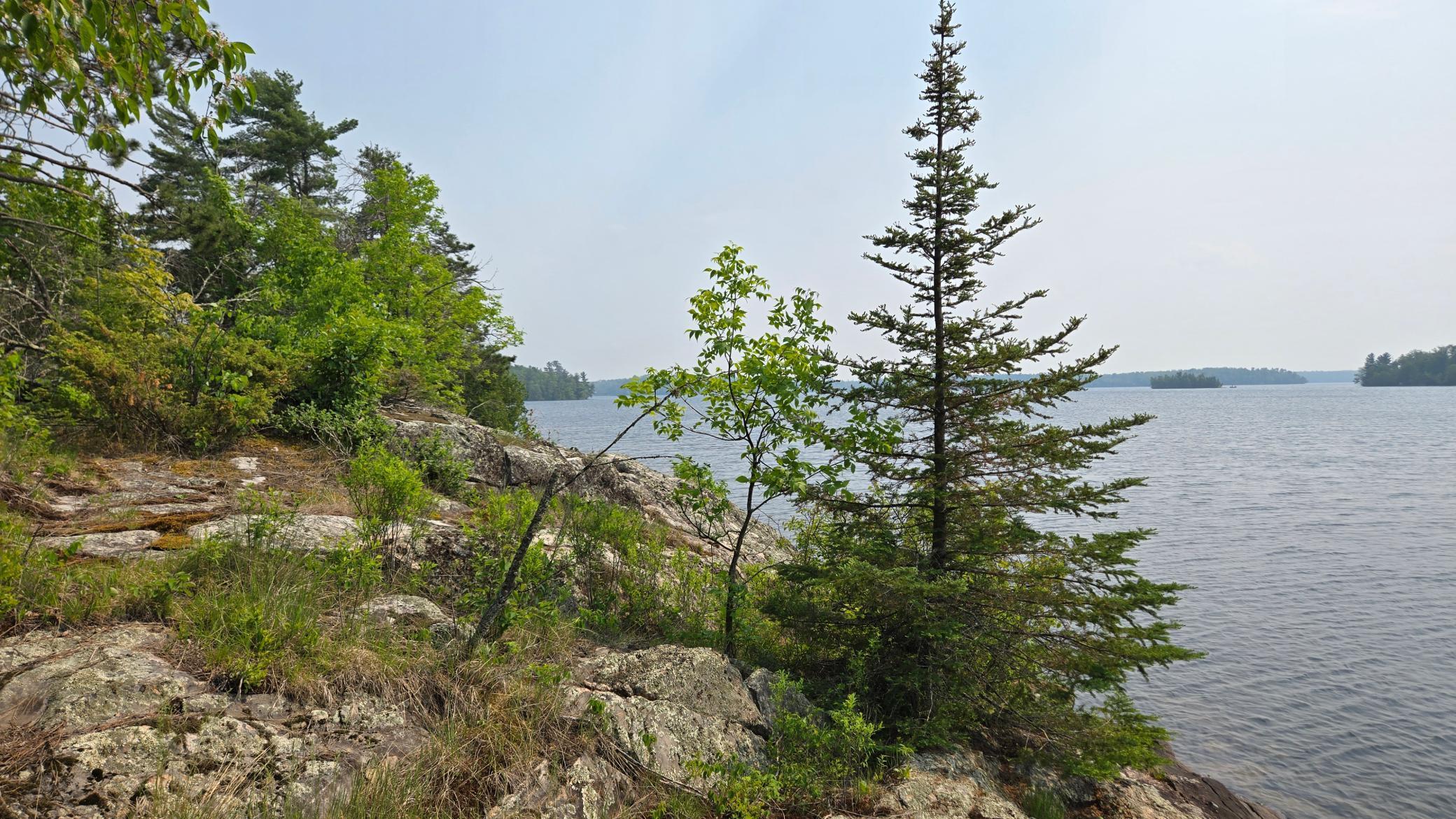 11.85 Bessette Road Orr, MN 55771 - Photo 34 of 50