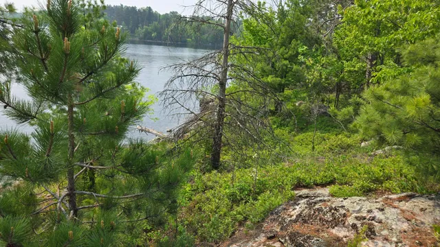 $499,000 | 11.85 Bessette Road, Orr, MN 55771