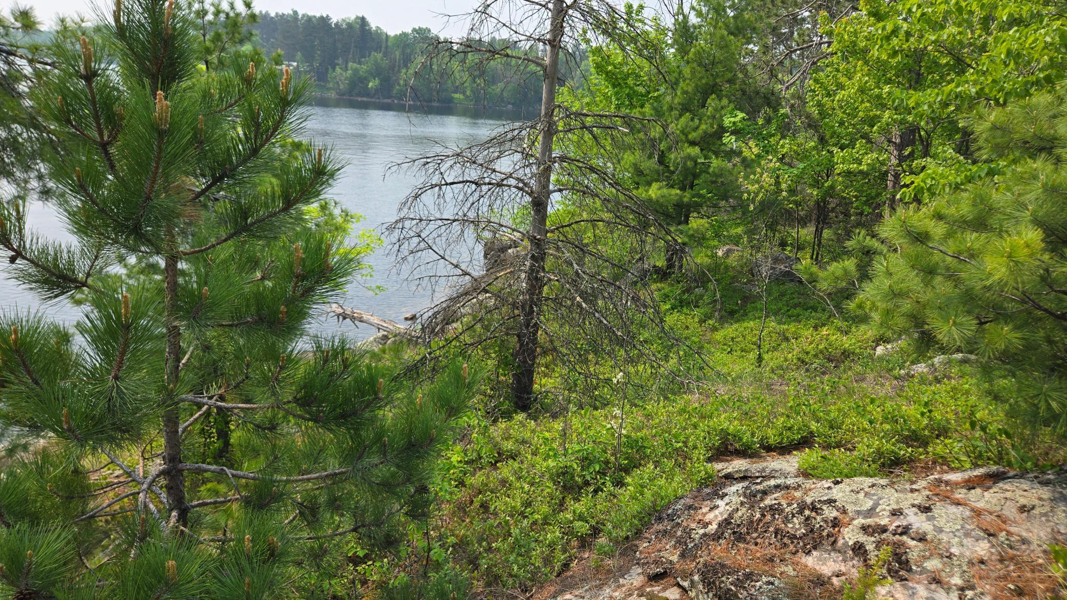 11.85 Bessette Road Orr, MN 55771 - Photo 36 of 50