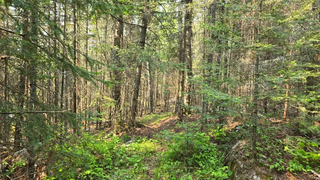 $499,000 | 11.85 Bessette Road, Orr, MN 55771