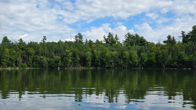 $499,000 | 11.85 Bessette Road, Orr, MN 55771