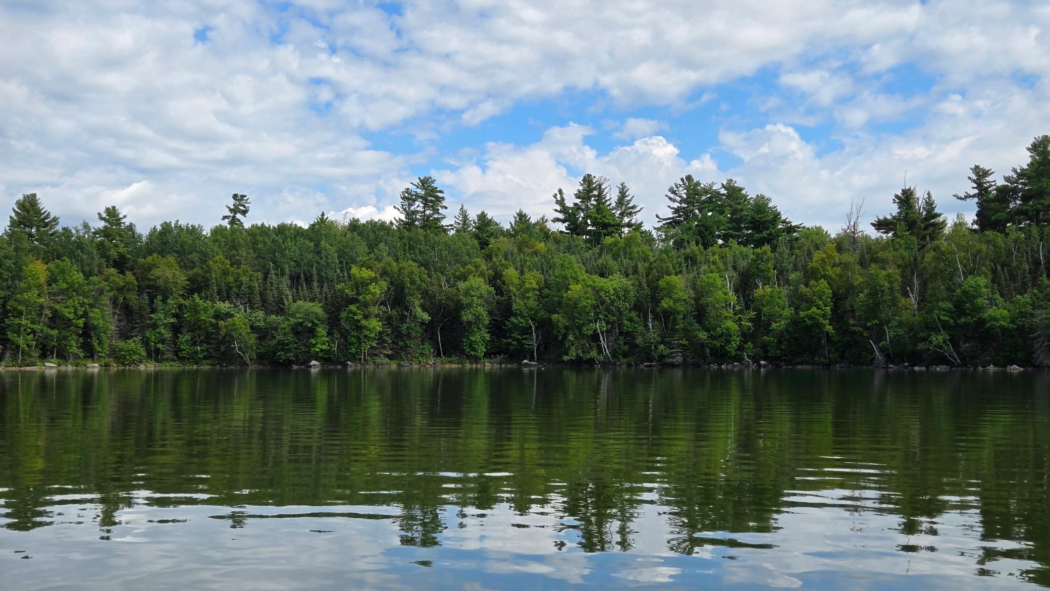 11.85 Bessette Road Orr, MN 55771 - Photo 44 of 50