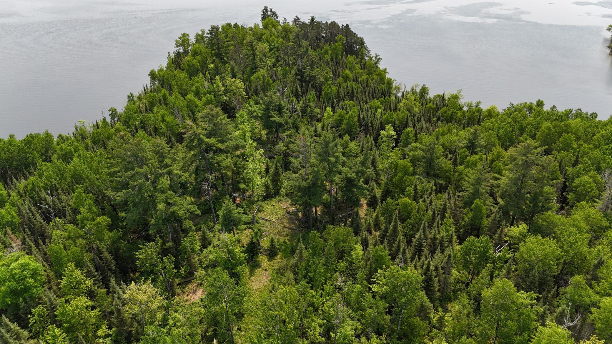 11.85 Bessette Road Orr, MN 55771 - Photo 6 of 50