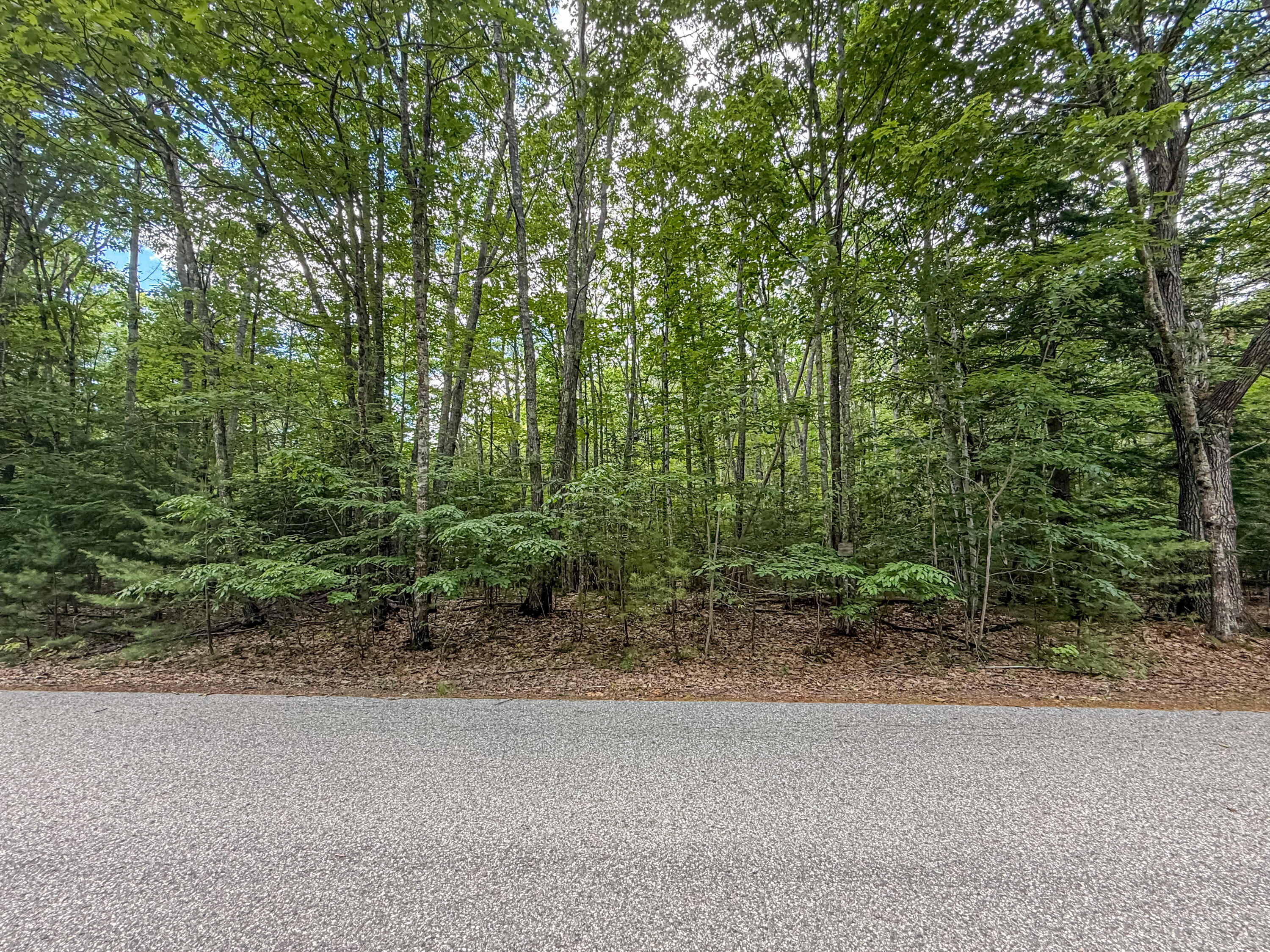 Lot 36-5 Union Falls Road Buxton, ME 04093 - Photo 8 of 14 7EC3B469-ACAF-4093-8662-1CC7C799687E