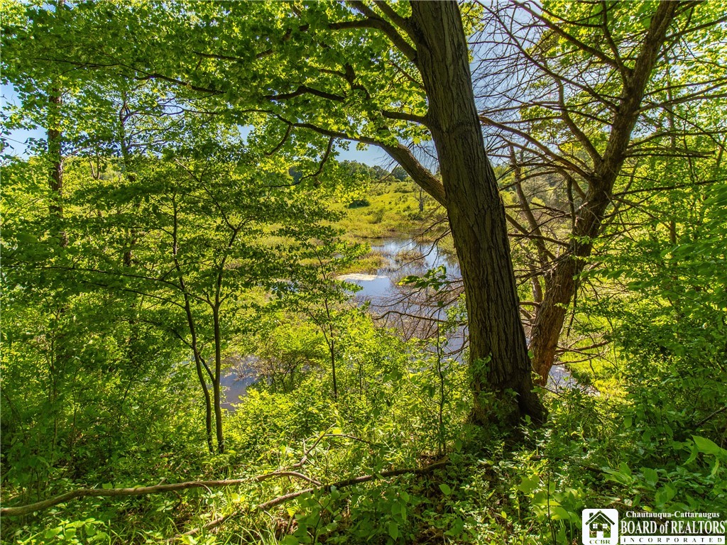 3946 Camp Road Sherman, NY 14781 - Photo 45 of 48
