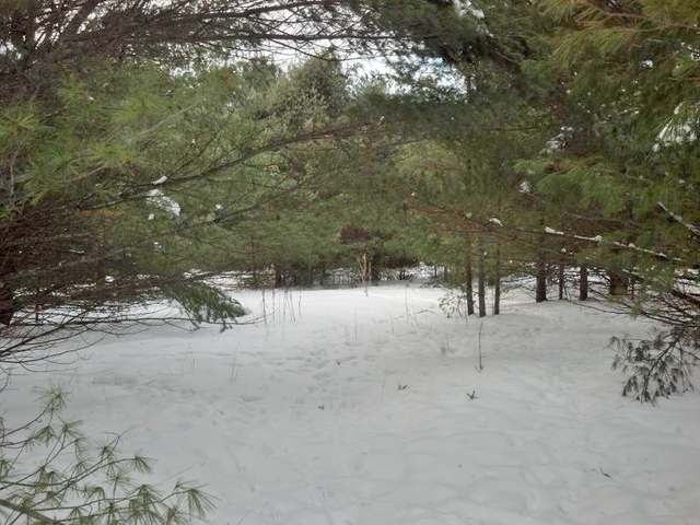 Lot 306 Deerwood Road Minocqua, WI 54548 - Photo 10 of 16 Gallery Image 10