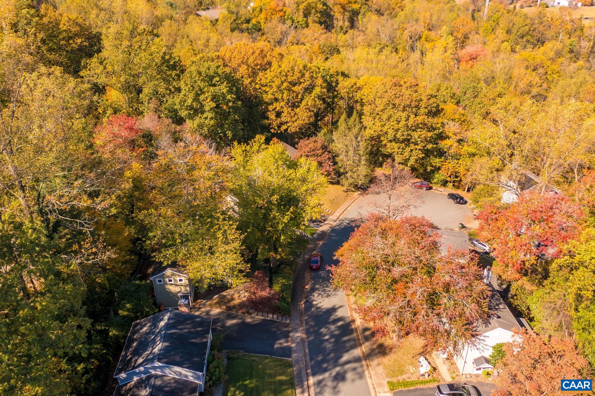 1115 Cottonwood Road Charlottesville, VA 22901 - Photo 4 of 41 a view of a yard
