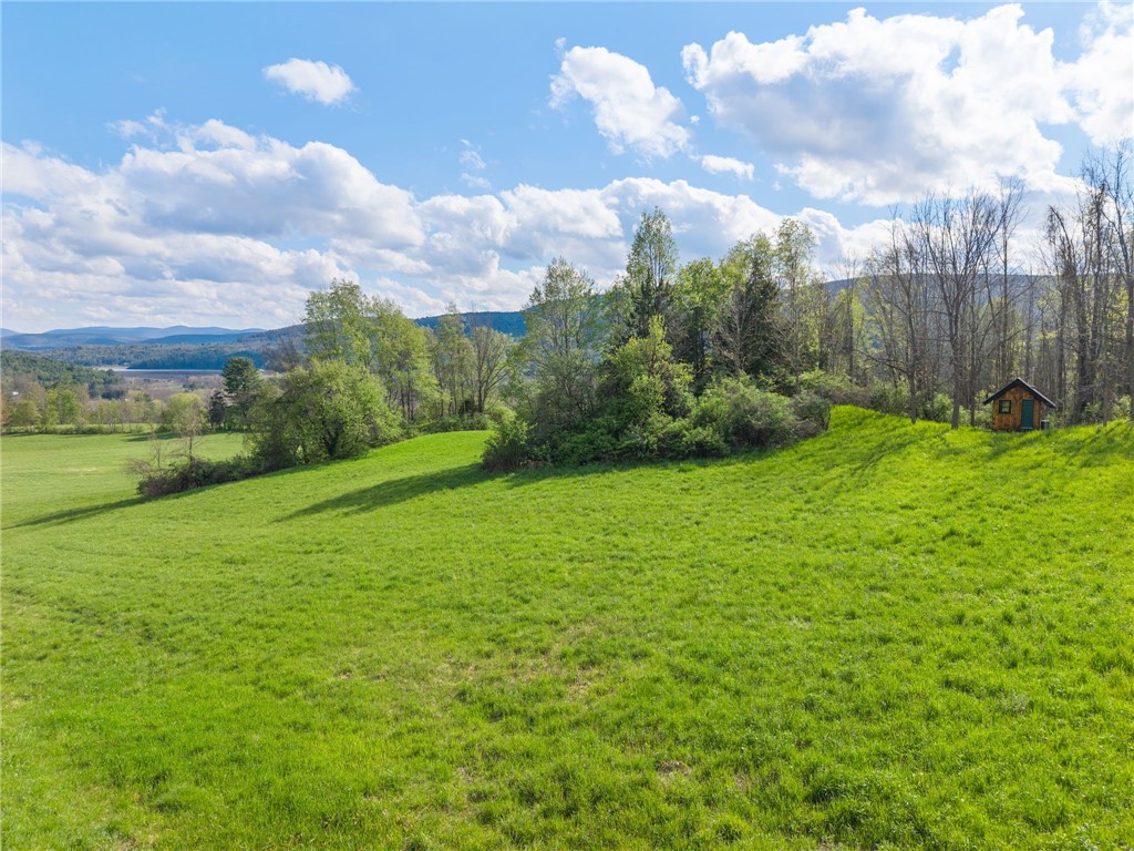 Westkill Road North Blenheim, NY 12131 - Photo 9 of 38
