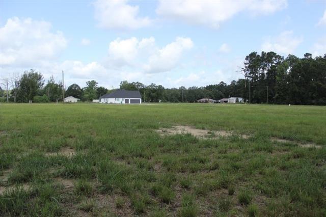 29658 Billy Joe Road Independence, LA 70443 - Photo 3 of 6