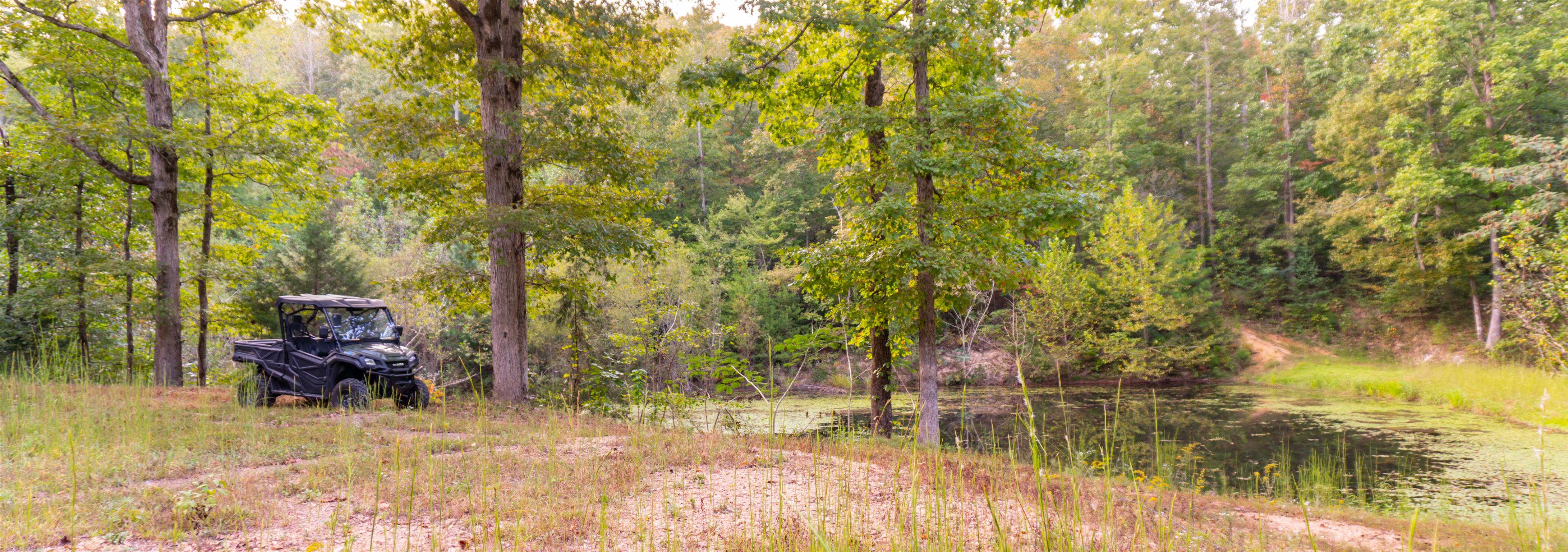 175 Jennie Smith Road Hohenwald, TN 38462 - Photo 25 of 27 Gallery Image 25