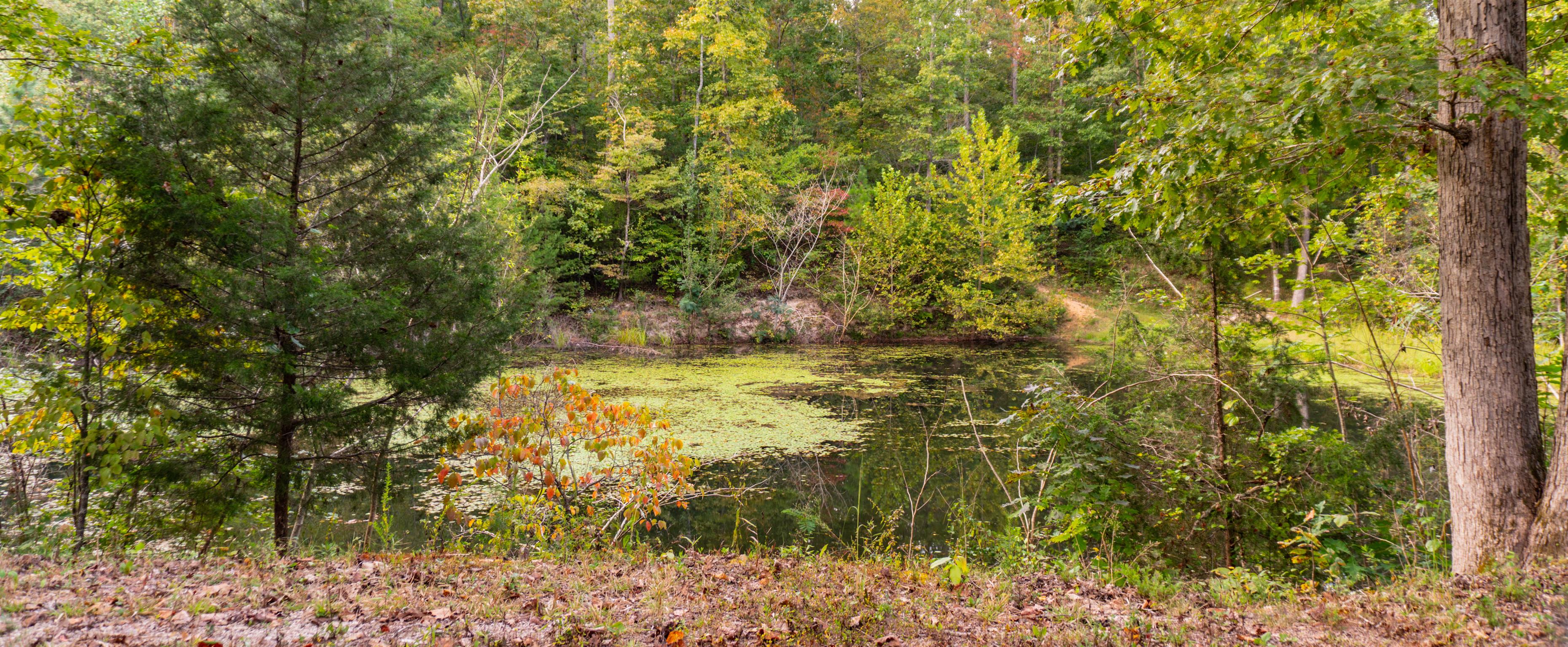 175 Jennie Smith Road Hohenwald, TN 38462 - Photo 26 of 27 Gallery Image 26