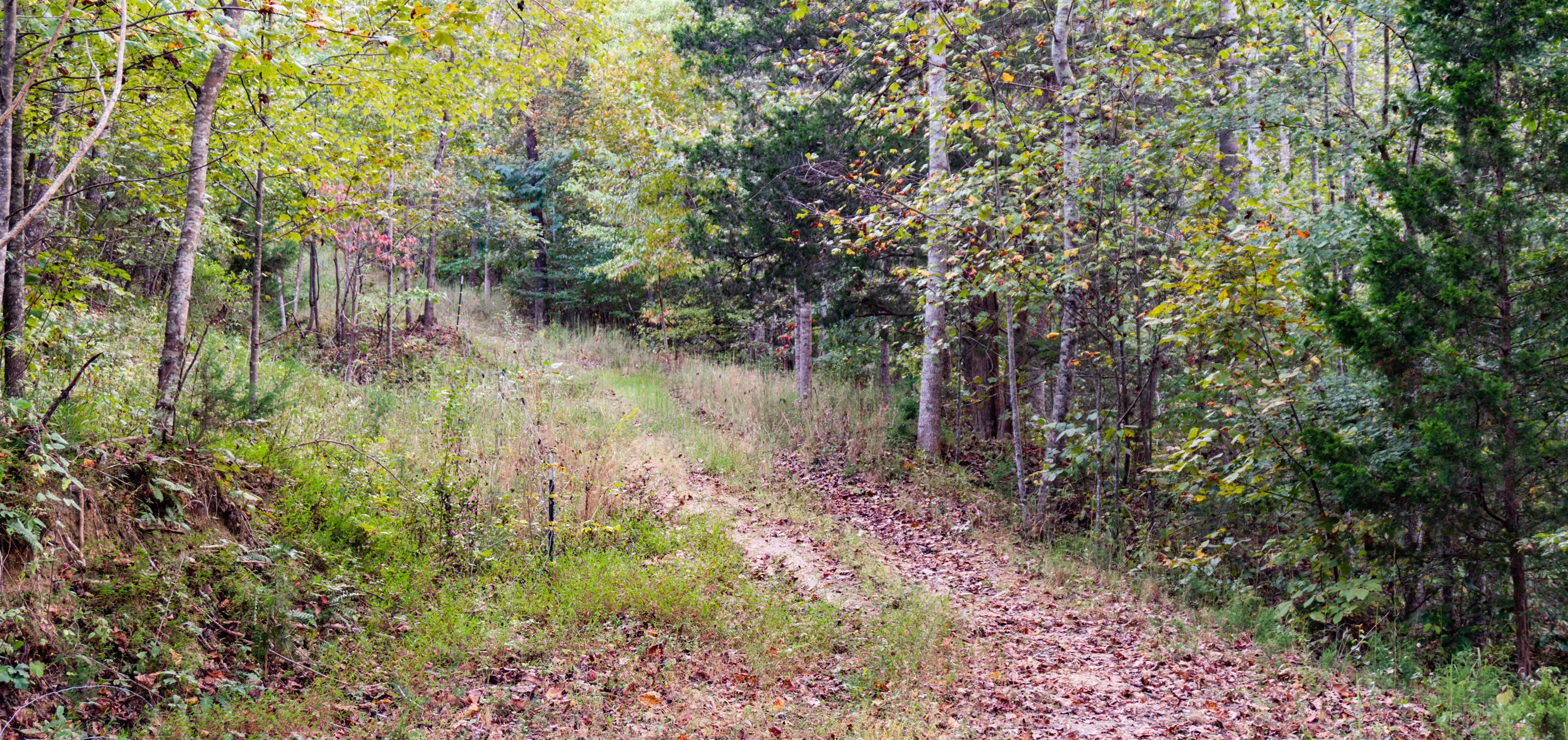 175 Jennie Smith Road Hohenwald, TN 38462 - Photo 27 of 27 Gallery Image 27