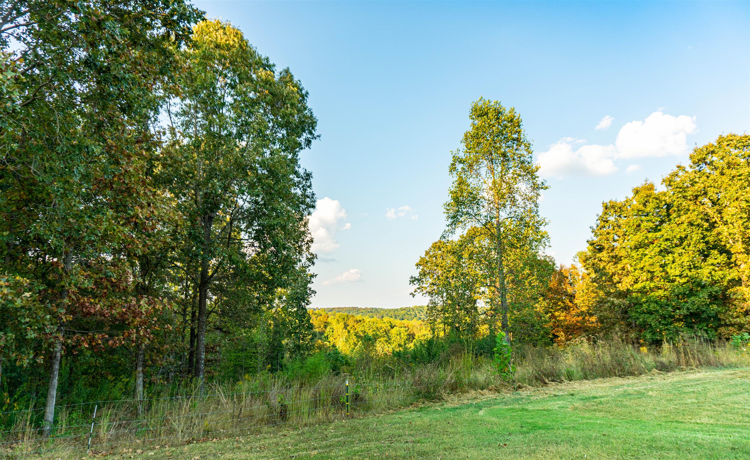 175 Jennie Smith Road Hohenwald, TN 38462 - Photo 6 of 27 View From Front Porch