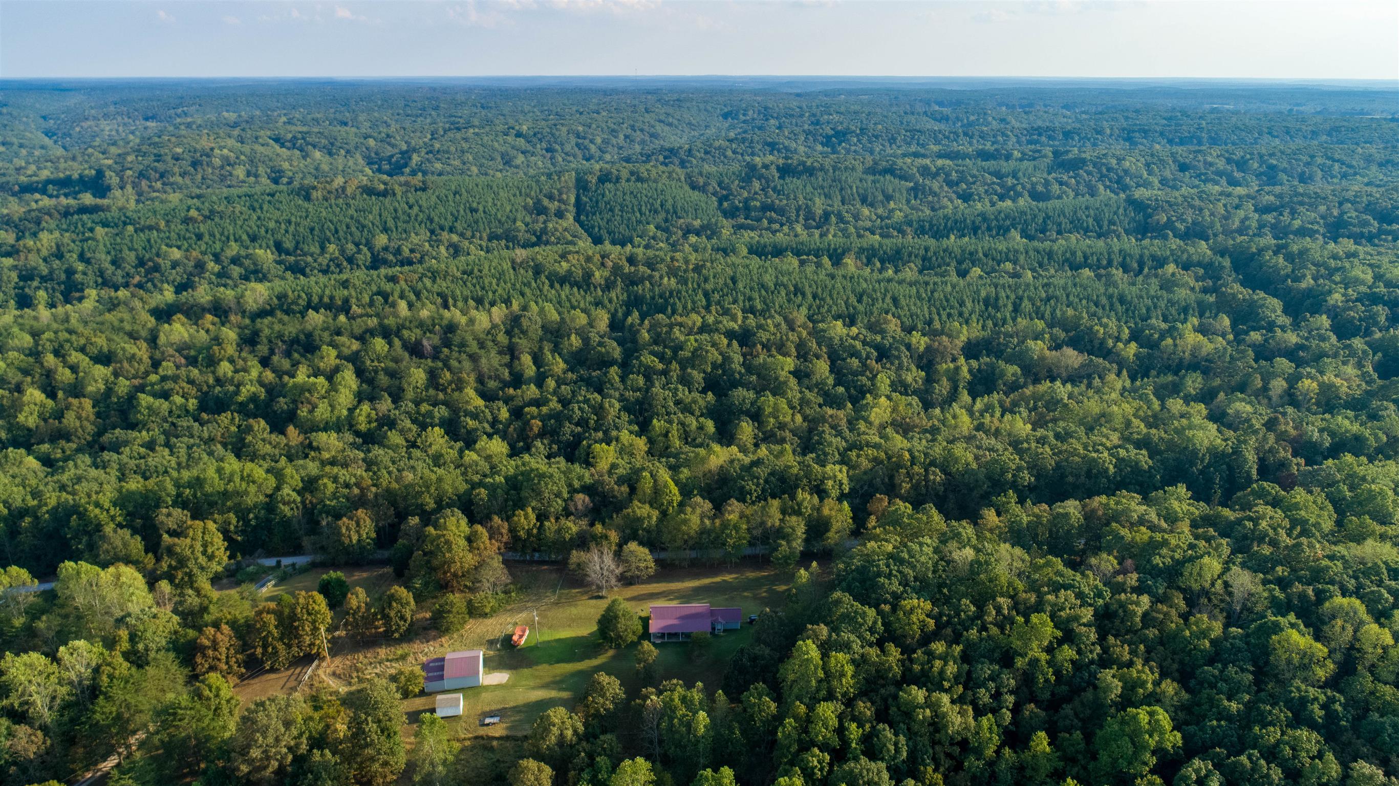 175 Jennie Smith Road Hohenwald, TN 38462 - Photo 8 of 27 Gallery Image 8