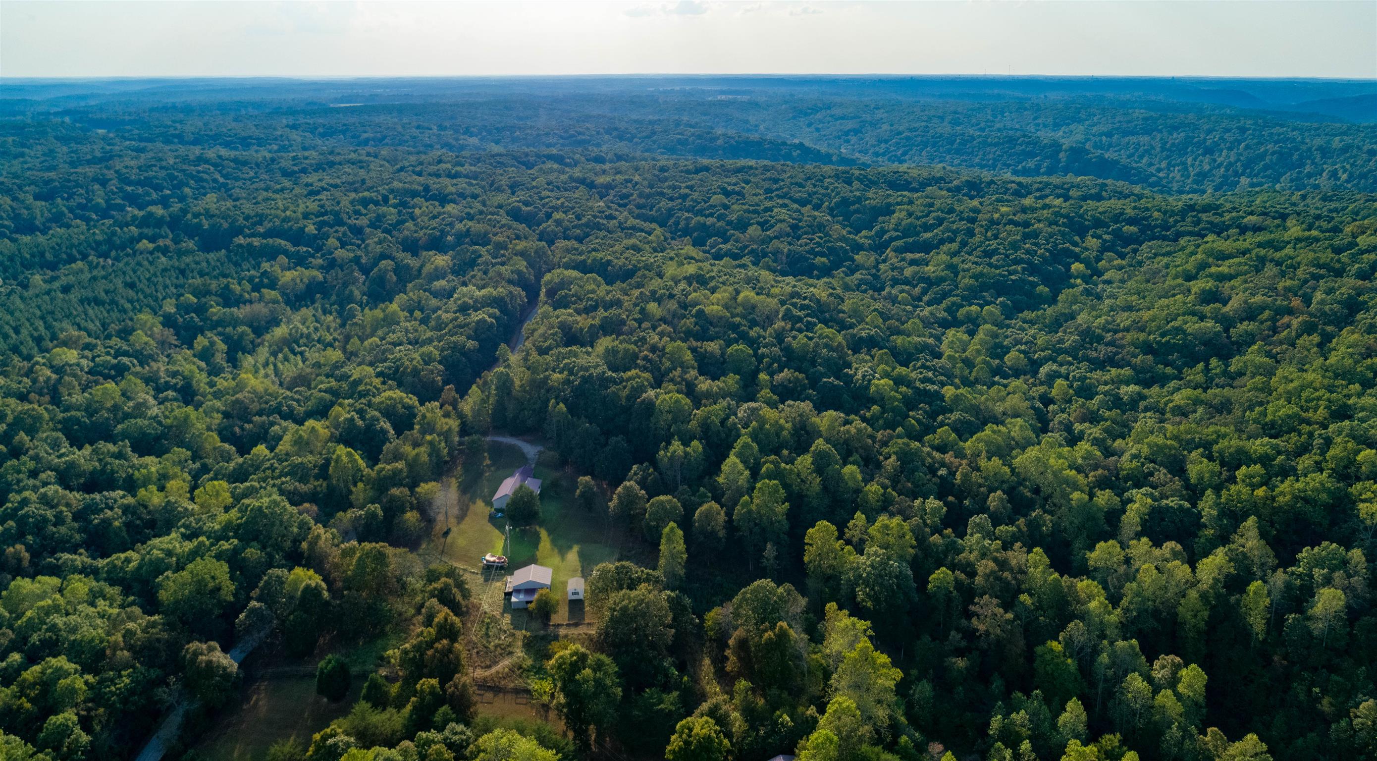 175 Jennie Smith Road Hohenwald, TN 38462 - Photo 9 of 27 Gallery Image 9