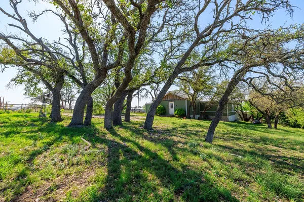 a view of a backyard with tree s