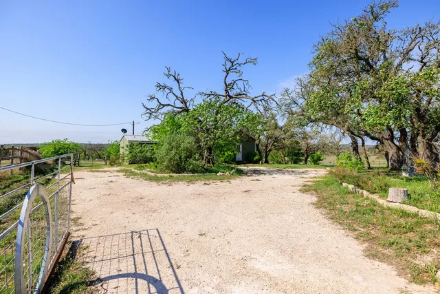 a view of a yard with plants and trees
