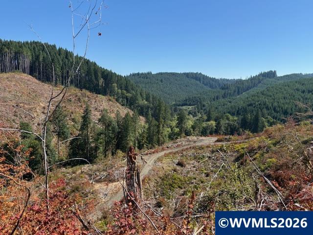0 Van Horn Road Alsea, OR 97324 - Photo 10 of 16
