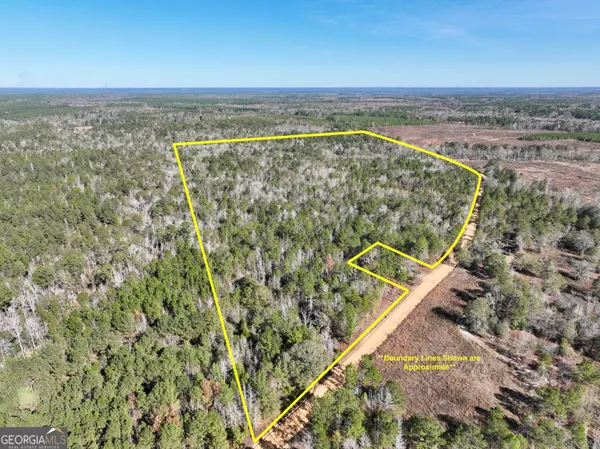 an aerial view of beach and ocean